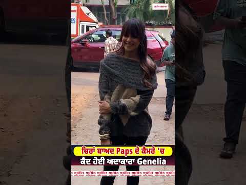 Genelia D'Souza Spotted by Paps After Long Time