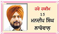 ਵਿਲੱਖਣ ਪੌਦਾ ਪੱਥਰ ਚੱਟ